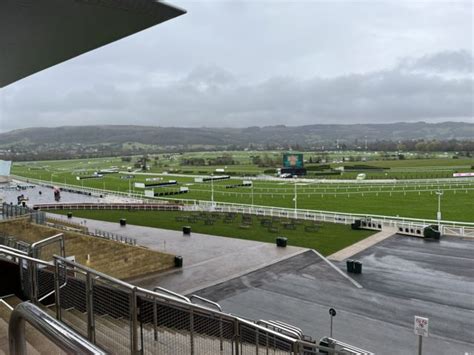 bbc cheltenham results|Cheltenham Festival 2024 LIVE: Champion Hurdle, races, results  .